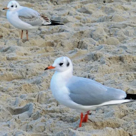 Blaue Lagune Séjour chez l'habitant